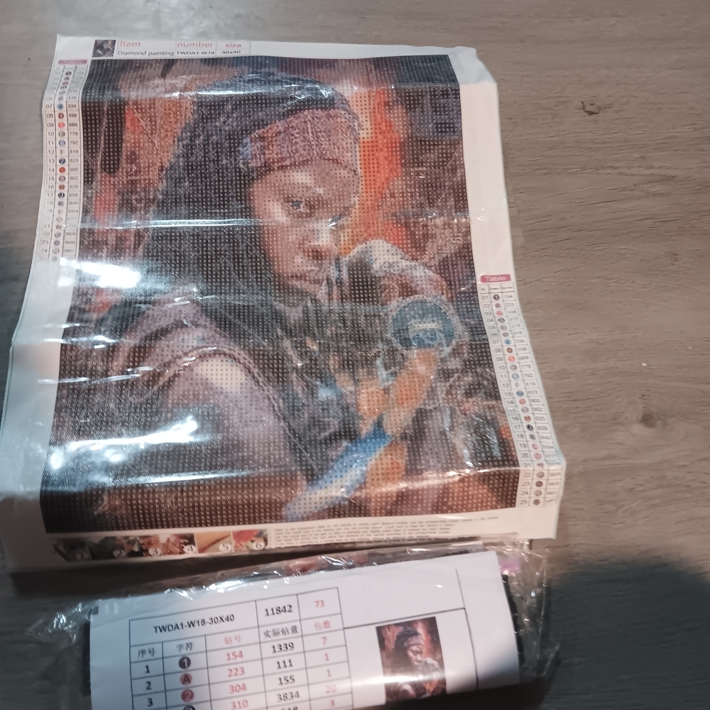 The Walking Dead Diamond Painting Kit with Michonne Design 30x40